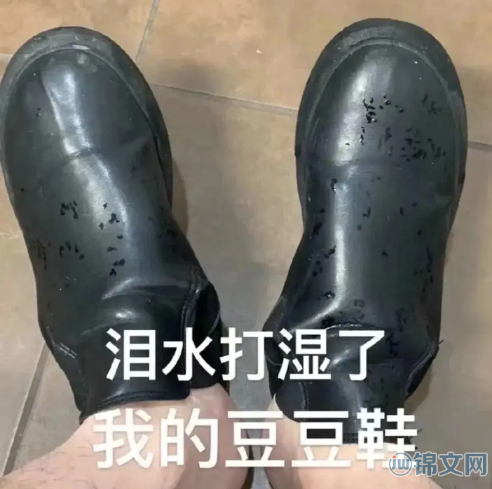 泪水打湿我的豆豆鞋