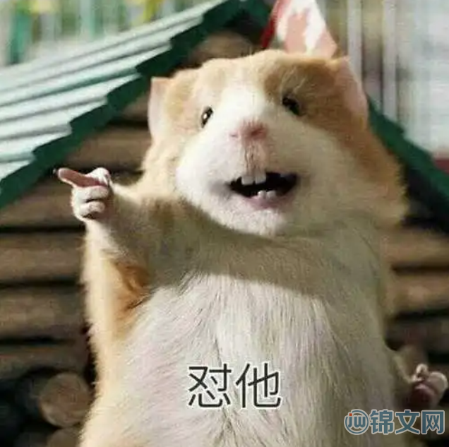 鼠人