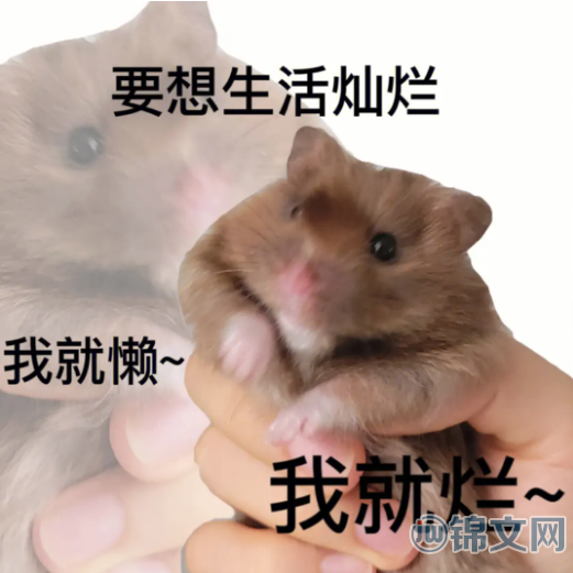 鼠鼠